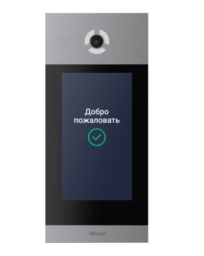 AA-14FBIS SILVER. Вызывная панель IP-домофона. BAS-IP в Петропавловске-Камчатском