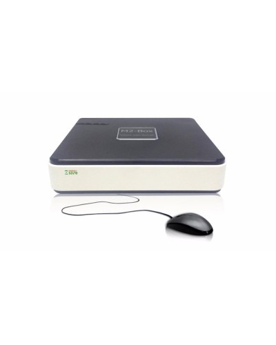 BestNVR-400. IP-видеосервер 4-канальный. BestDVR в Петропавловске-Камчатском