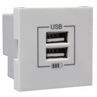 Розетка USB двойная, зарядная, белая (45439 SBR): Розетка USB двойная
