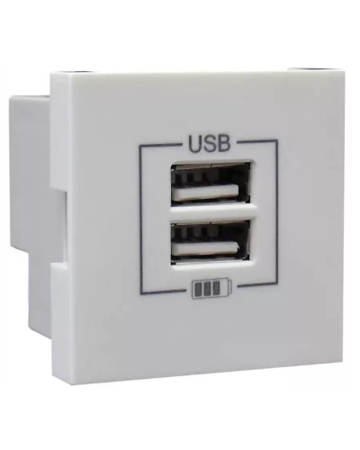 Розетка USB двойная, зарядная, белая (45439 SBR): Розетка USB двойная в Петропавловске-Камчатском