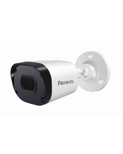 FE-IPC-BP2e-30p. Видеокамера IP цилиндрическая. Falcon EYE в Петропавловске-Камчатском