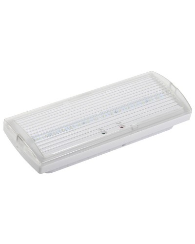 Светильник аварийный ДПА 5030-1 1ч IP20 LIGHTING (LDPA0-5030-1H-K01). Светильник аварийный постоянного действия. IEK в Петропавловске-Камчатском