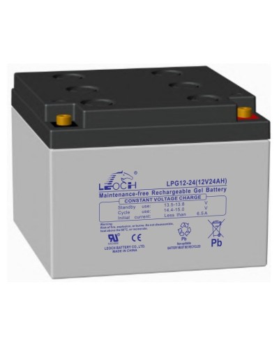 LEOCH LPG 12-24. Аккумулятор герметичный свинцово-кислотный. LEOCH в Петропавловске-Камчатском