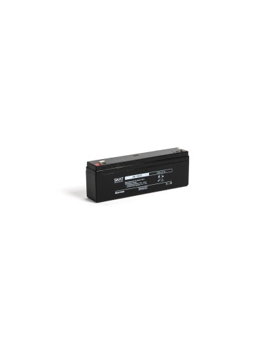 SKAT SB 12022 (2539). Аккумулятор герметичный свинцово-кислотный. Бастион в Петропавловске-Камчатском