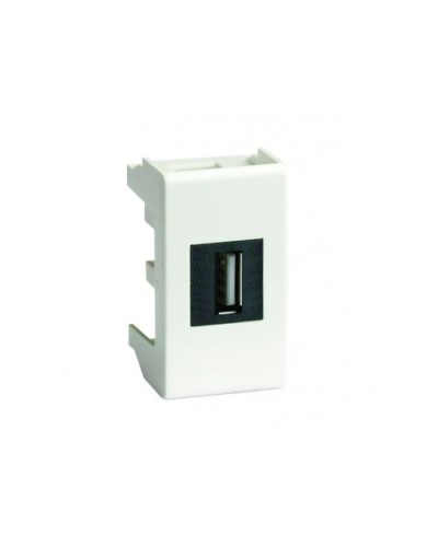 Розетка USB 2.0 Brava 1 модуль слоновая кость (75200S): Розетка USB в Петропавловске-Камчатском