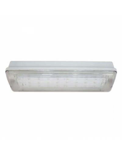 SL-213-30LED1.8 исп. 1 IP65. Светильник аварийного освещения. ИП Раченков А.В. в Петропавловске-Камчатском