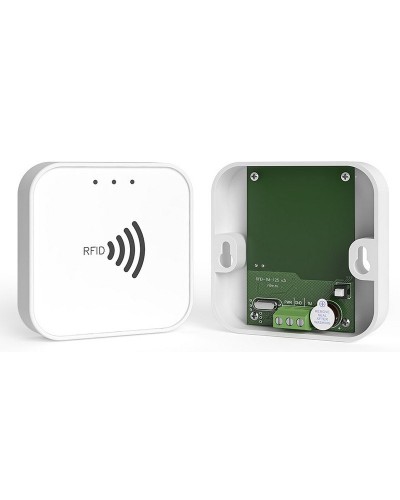 RFID-TM. Считыватель RFID. Ритм в Петропавловске-Камчатском